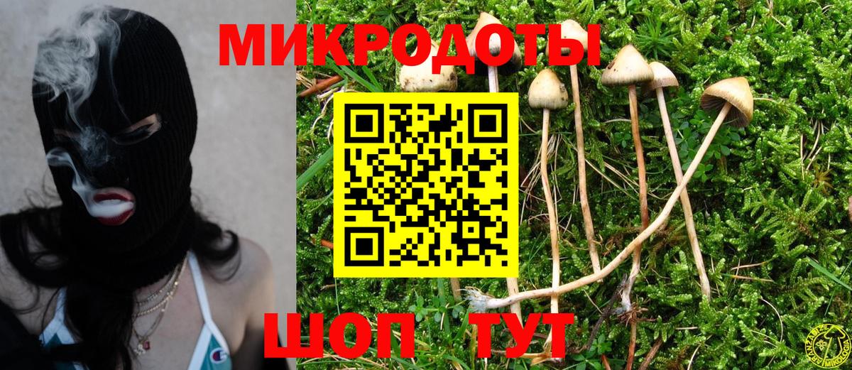 Галлюциногенные грибы Cubensis  Псилоцибиновые грибы MAGIC MUSHROOMS  Вход с VPN  Севастополь 