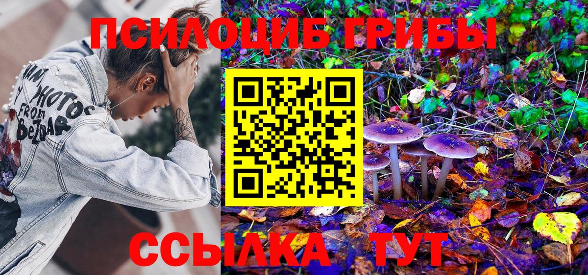 Галлюциногенные грибы прущие грибы Севастополь